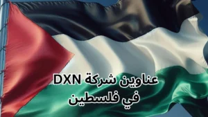 فروع شركة DXN في فلسطين
