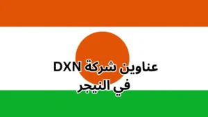 فروع شركة dxn في النيجر